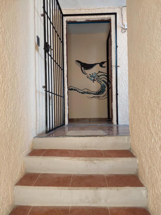 Venado 28 Hostel Cancún Kültér fotó