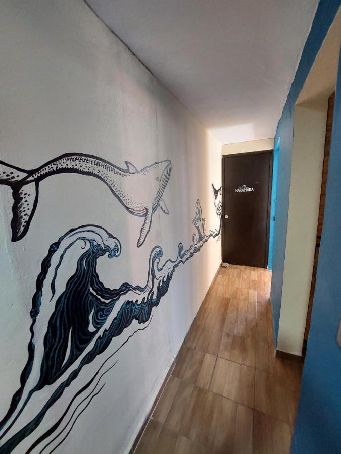 Venado 28 Hostel Cancún Kültér fotó
