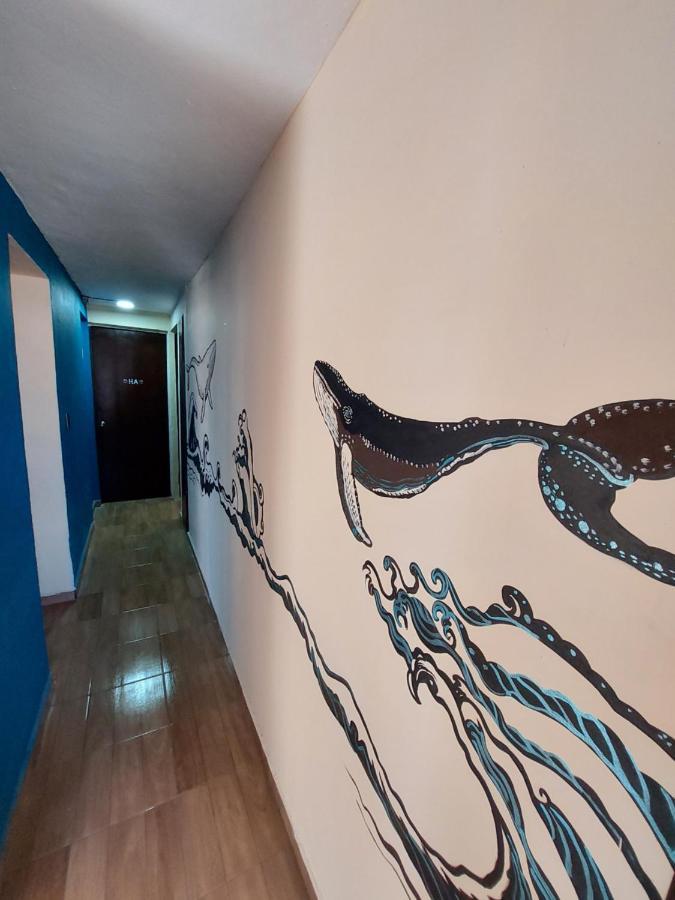 Venado 28 Hostel Cancún Kültér fotó