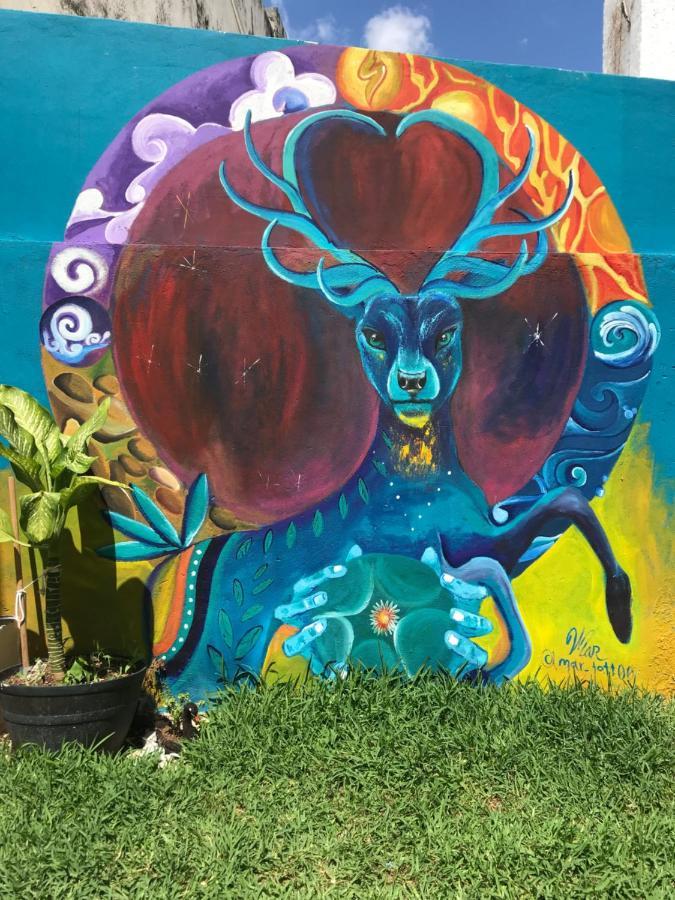 Venado 28 Hostel Cancún Kültér fotó