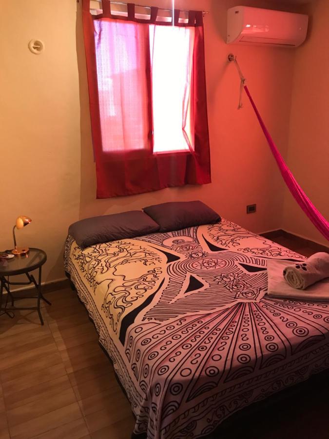 Venado 28 Hostel Cancún Kültér fotó